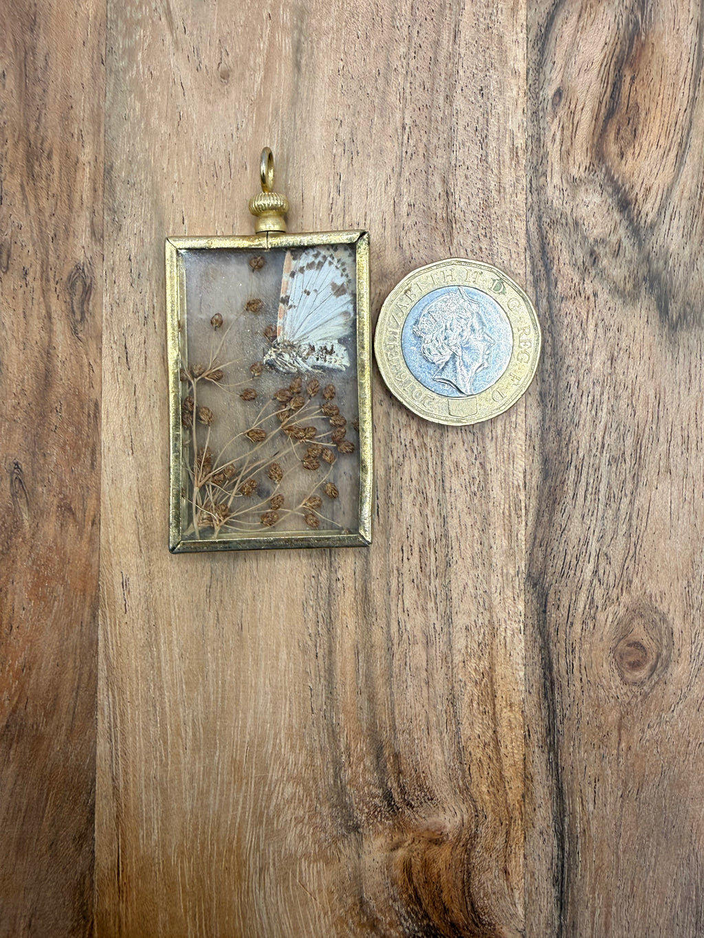 Pressed Butterfly and Flower Pendant