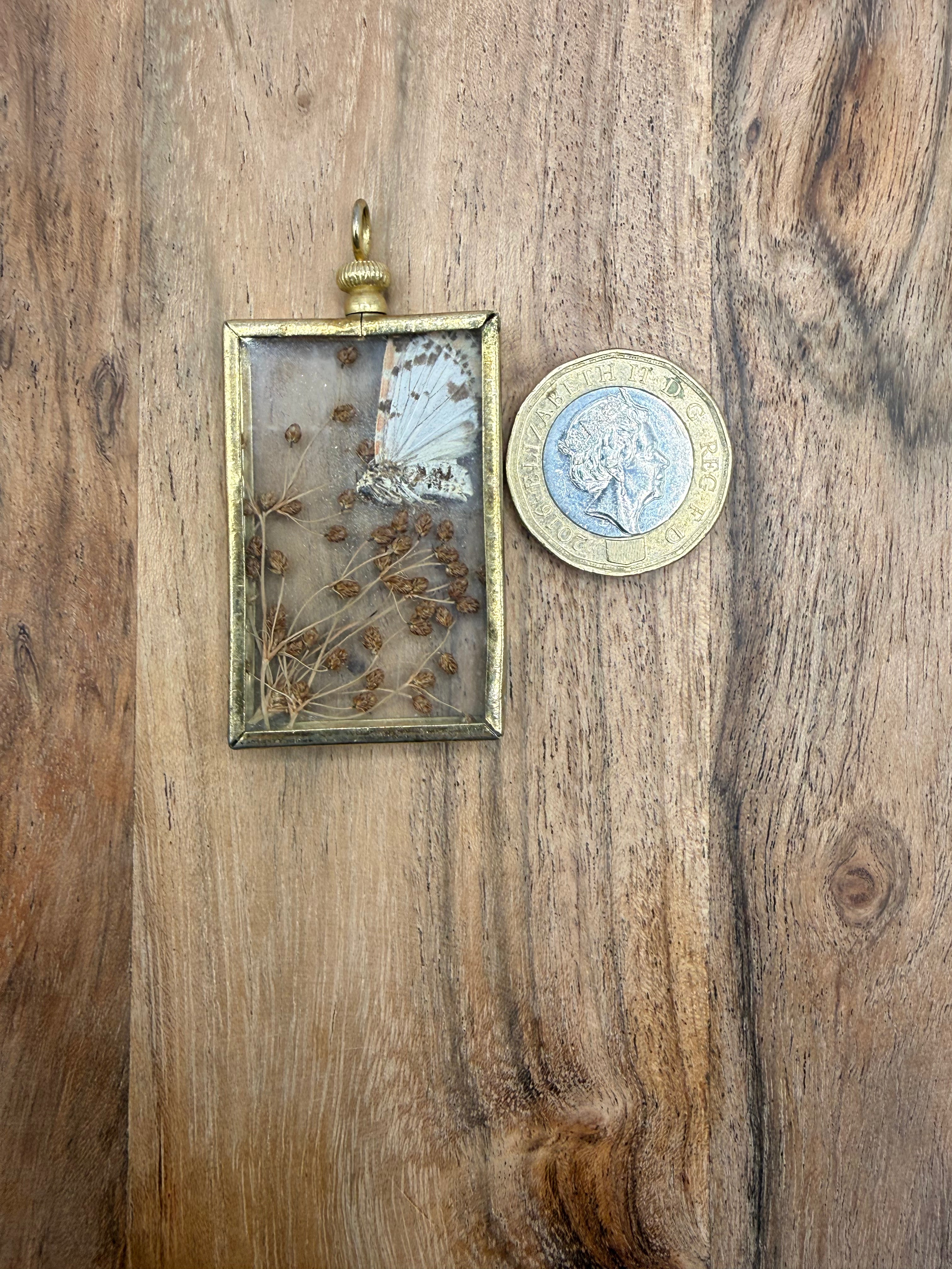 Pressed Butterfly and Flower Pendant